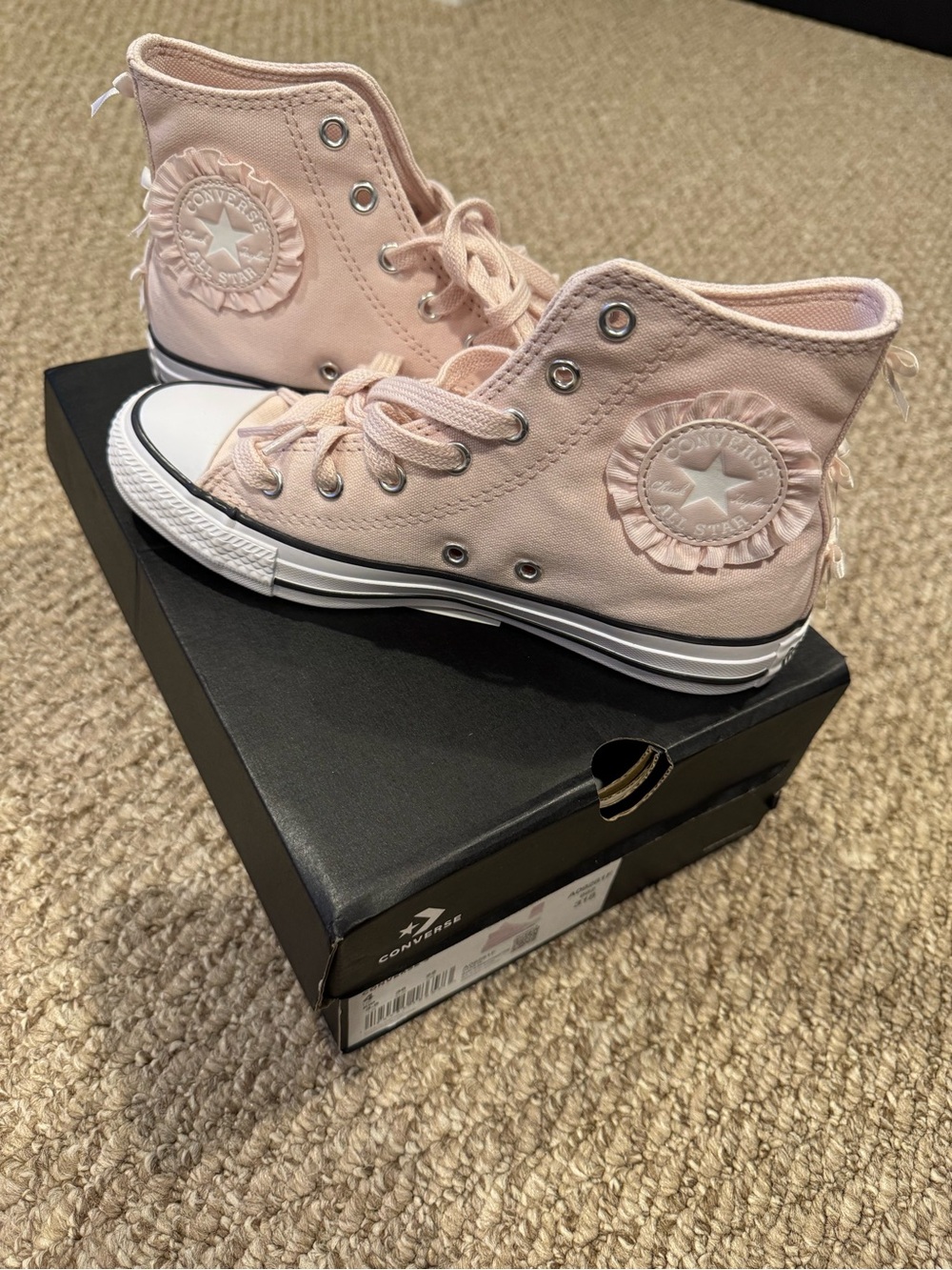 Converse Light Pink High Top Canvas Sneakers NWB